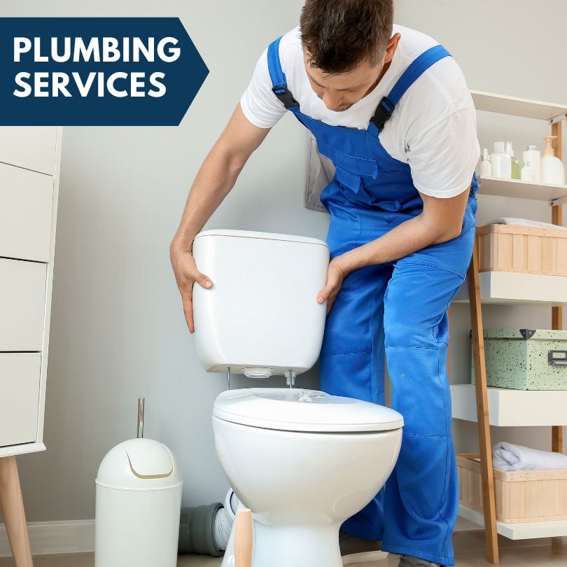 Plumbing Company in Central, AZ
